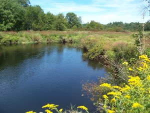 High Street Road view Charles 1