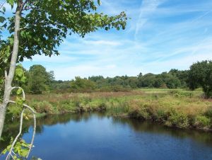 HIgh Street Road view Charles 2