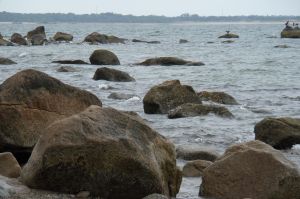 SAMSUNG CAMERA PICTURES