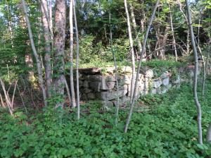 SAMSUNG CAMERA PICTURES