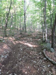 Not really an Easy Walk, this approach to Peppercorn Hill takes some work to get up, and back down!