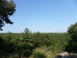 SAMSUNG CAMERA PICTURES