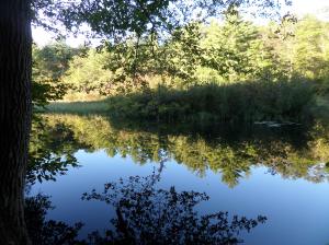 SAMSUNG CAMERA PICTURES