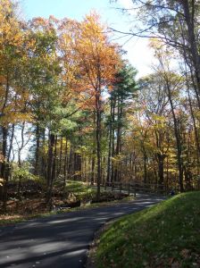 Just one block from downtown Milford, the 'Missing Link' portion of the Upper Charles offers a spot to enjoy the quiet.