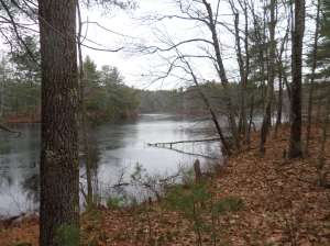 SAMSUNG CAMERA PICTURES