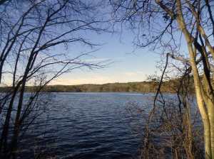 SAMSUNG CAMERA PICTURES