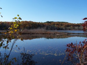 01Chilson Beach Franklin 3