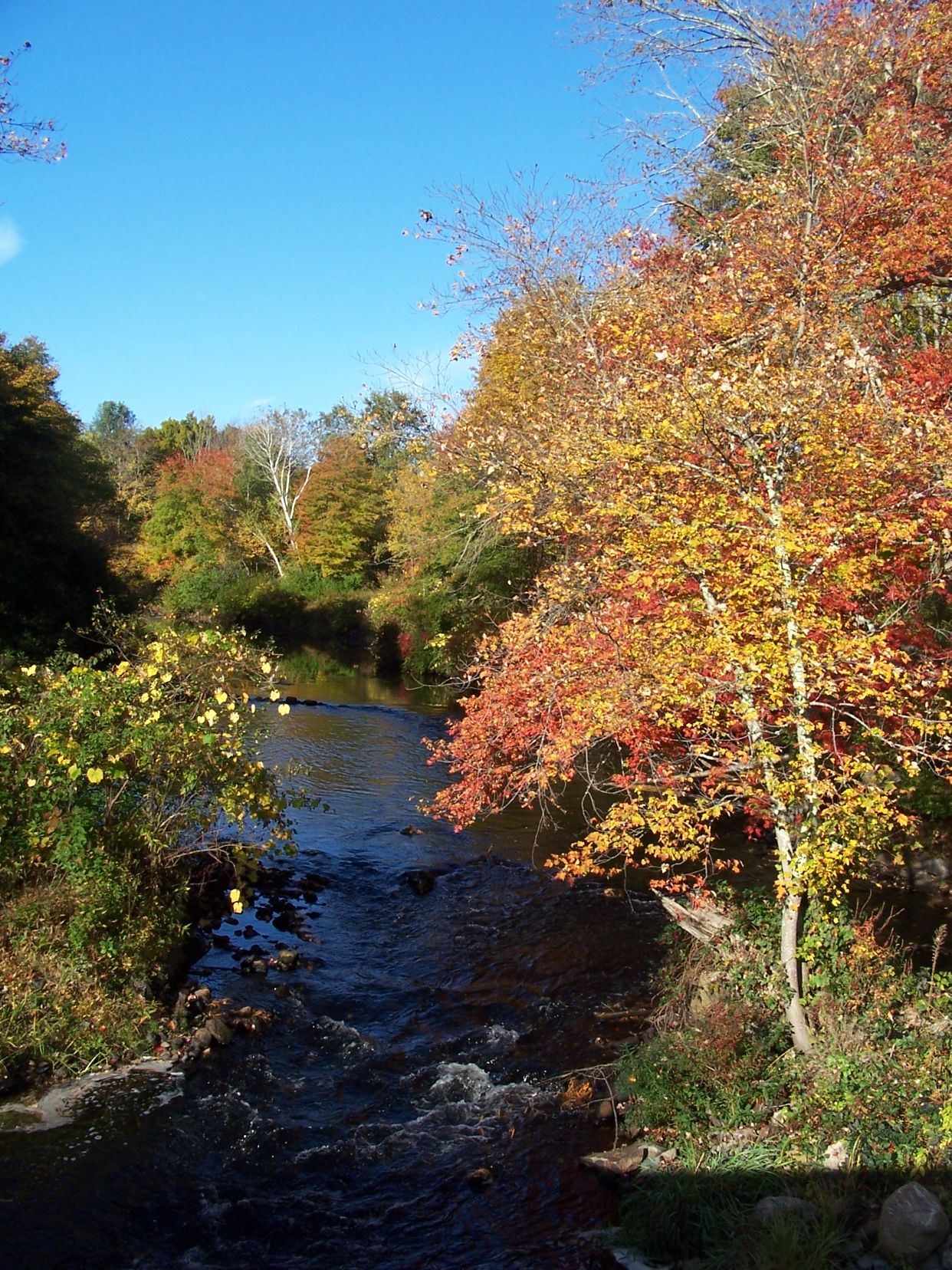 19Millis Pleasant and Myrtle 2