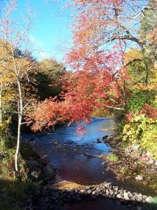 Upper Charles River, Millis, MA