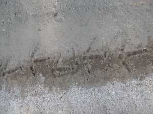 turkey tracks, beside the nearly finished path