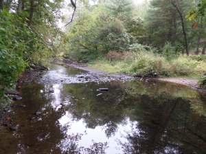 Charles River, High street Trail, Bellingham, MA