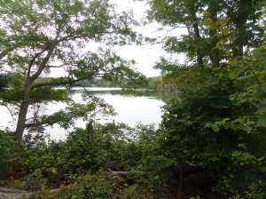 Neponset Reservoir, Lane Conservation area, Foxboro, MA