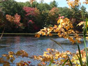 Along the shores of Silver Lake, Bellingham, MA