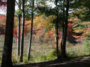 SAMSUNG CAMERA PICTURES