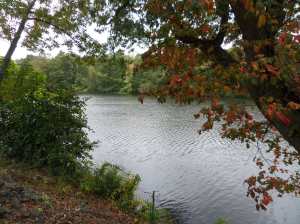 Neponset, just off Washington Street, E. Walpole, next to Hollingsworth and Vose parking lot