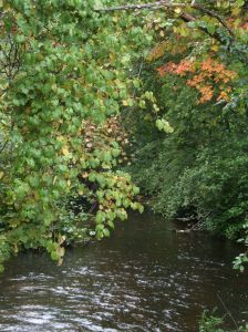 Neponset along Rt. 1A