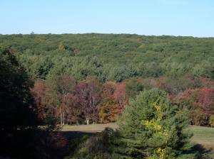 View from North Street, Upton, MA