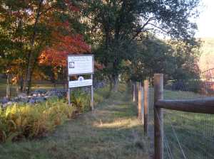 Trailhead for Whitney property