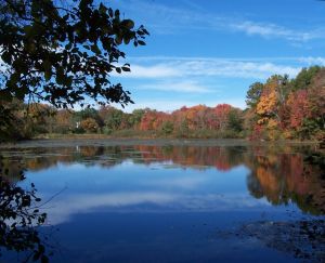 Louisa Lake, Milford, part of the Upper Charles River