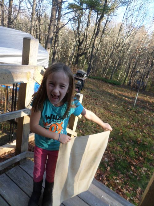 SAMSUNG CAMERA PICTURES