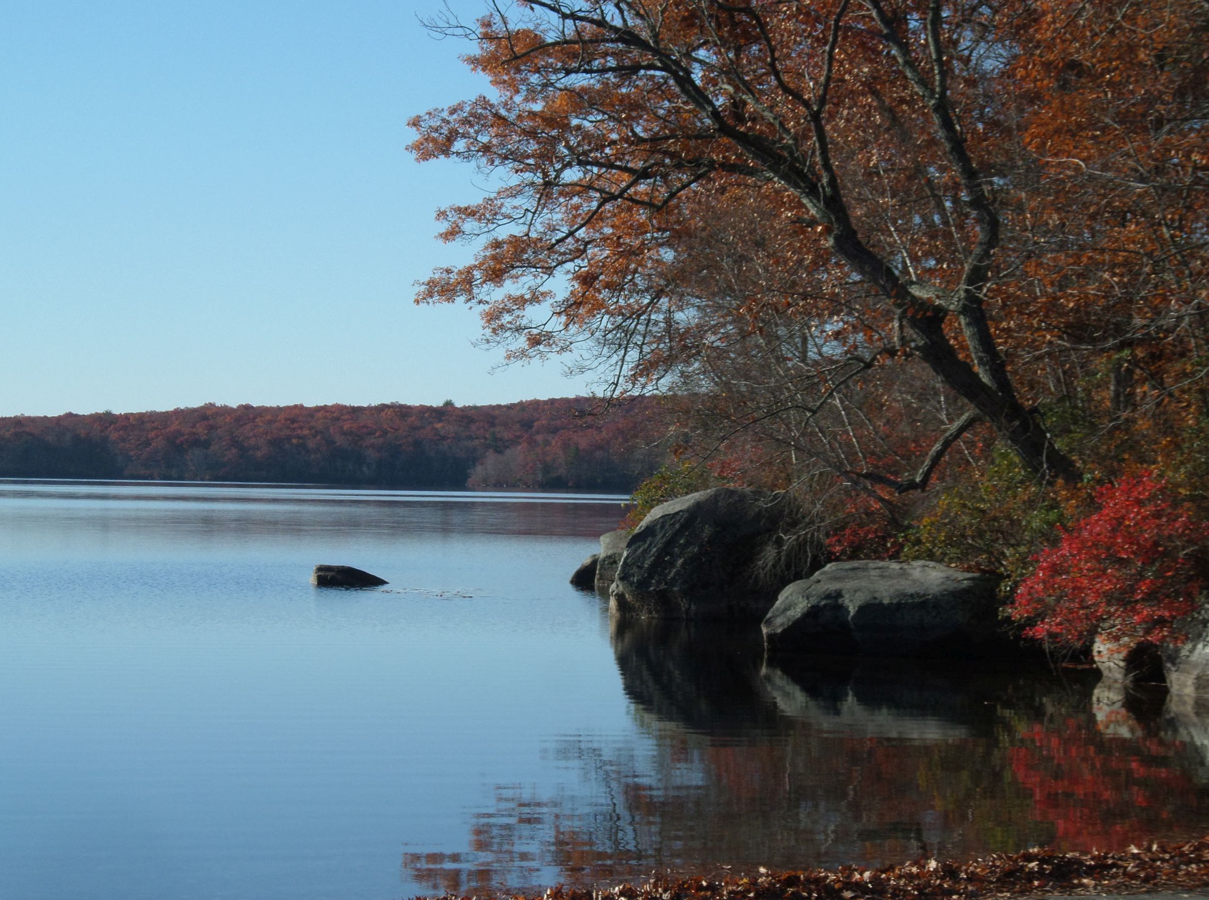 SAMSUNG CAMERA PICTURES