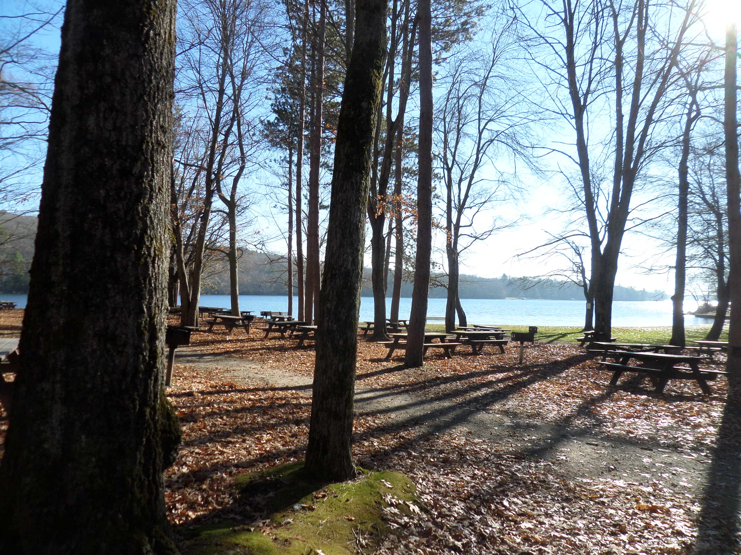 SAMSUNG CAMERA PICTURES