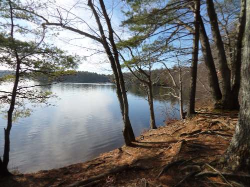 SAMSUNG CAMERA PICTURES