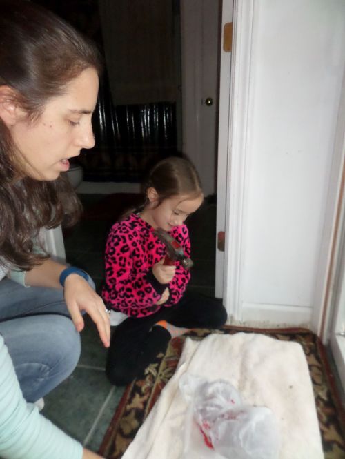 SAMSUNG CAMERA PICTURES