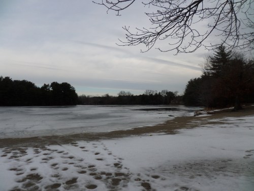 SAMSUNG CAMERA PICTURES