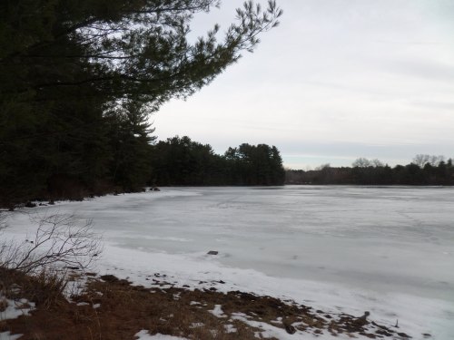 SAMSUNG CAMERA PICTURES