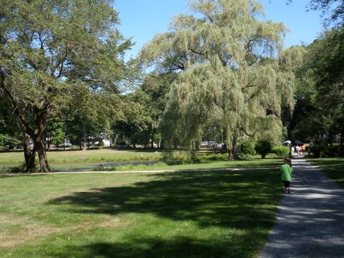 SAMSUNG CAMERA PICTURES