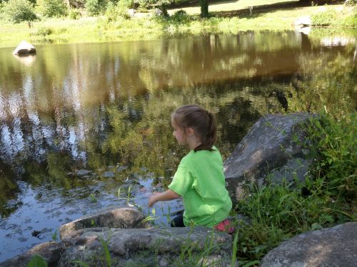 SAMSUNG CAMERA PICTURES