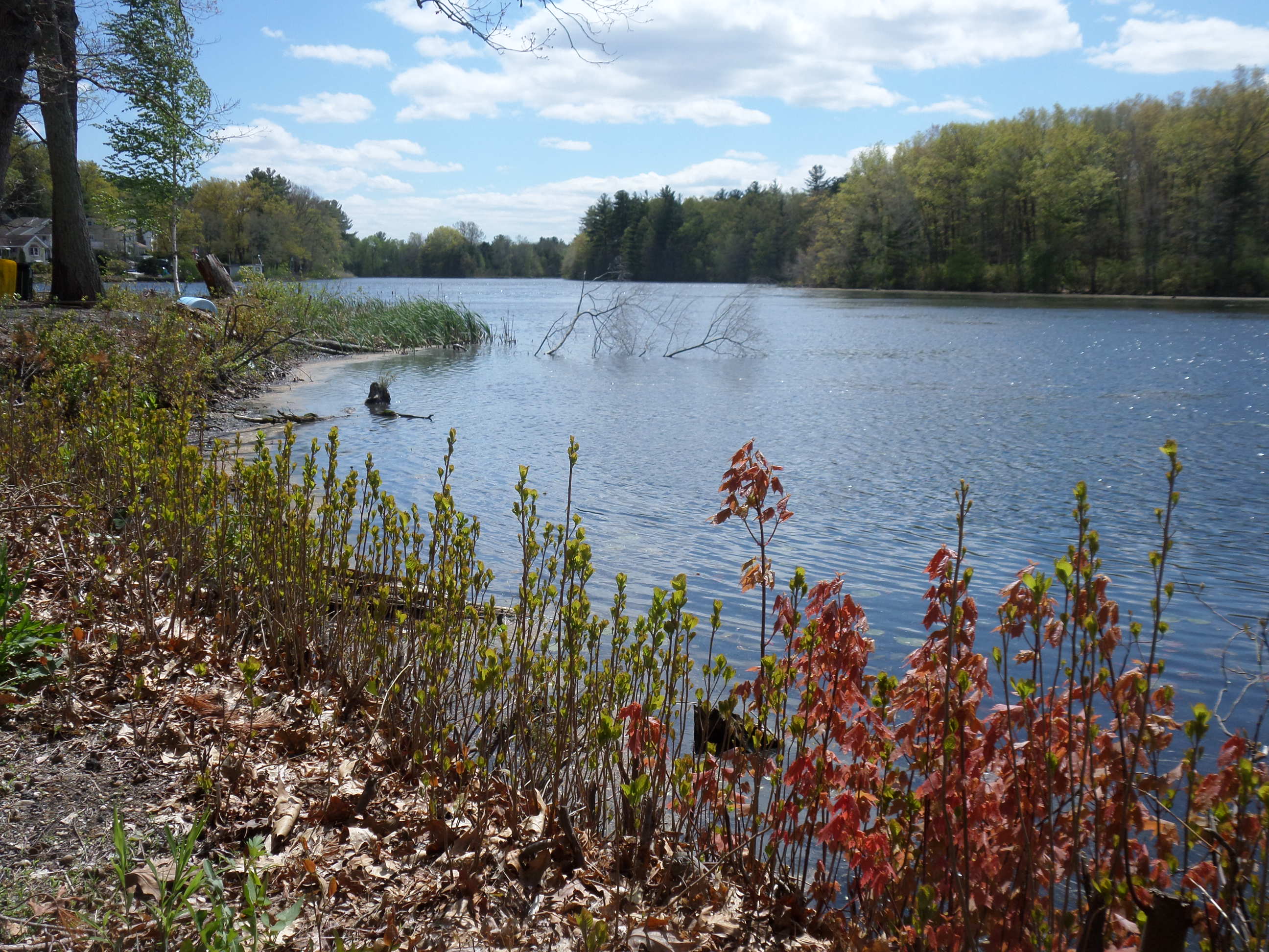 SAMSUNG CAMERA PICTURES