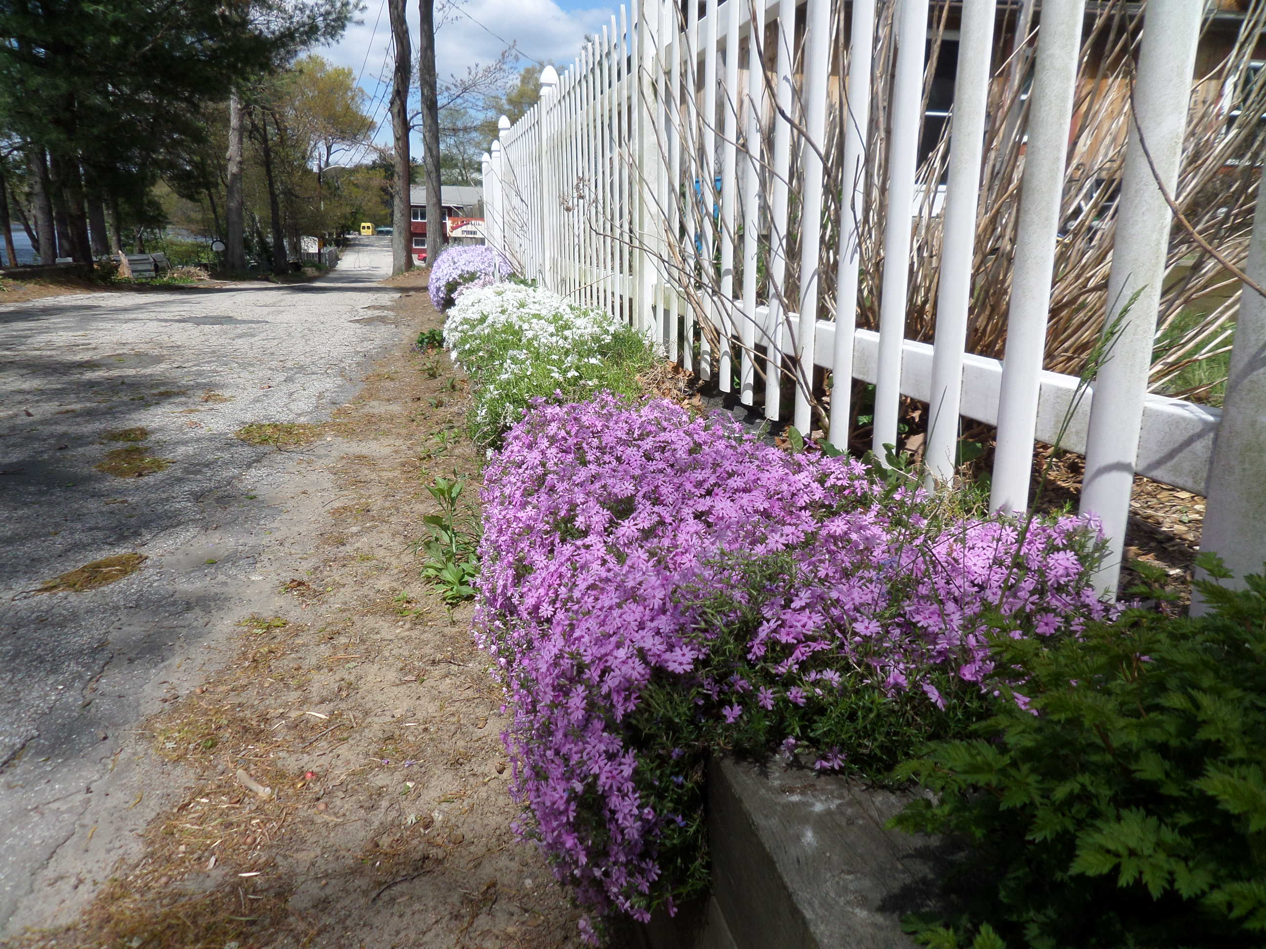 SAMSUNG CAMERA PICTURES