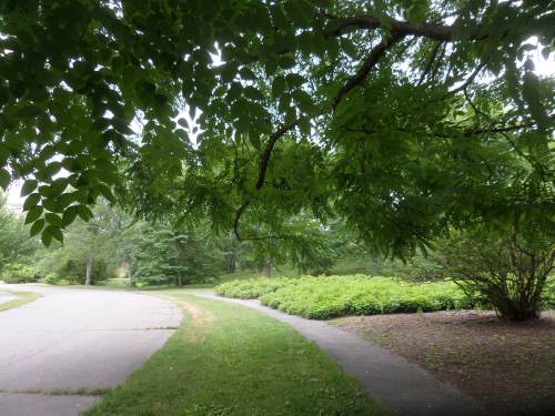 SAMSUNG CAMERA PICTURES