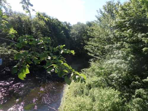 SAMSUNG CAMERA PICTURES