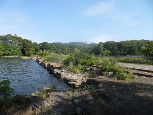 SAMSUNG CAMERA PICTURES