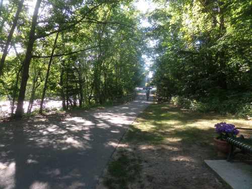 SAMSUNG CAMERA PICTURES