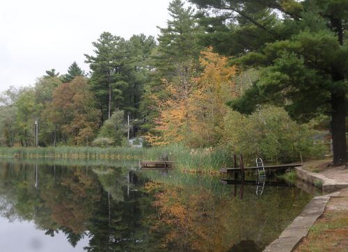 SAMSUNG CAMERA PICTURES