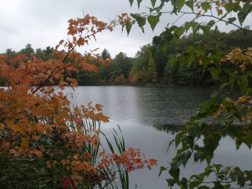 SAMSUNG CAMERA PICTURES