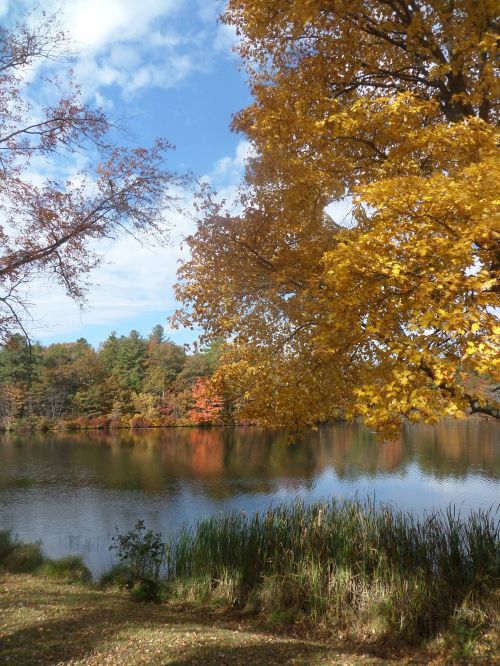 SAMSUNG CAMERA PICTURES