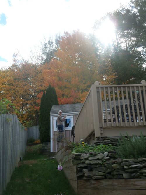 SAMSUNG CAMERA PICTURES