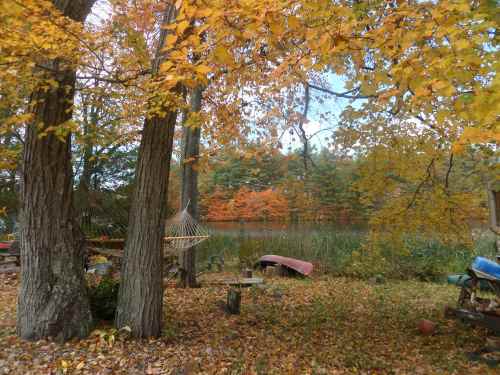 SAMSUNG CAMERA PICTURES