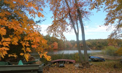 SAMSUNG CAMERA PICTURES