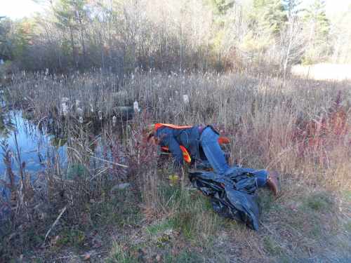 SAMSUNG CAMERA PICTURES