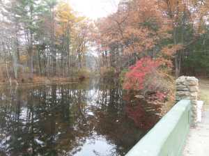 Chicken Brook flowing into Choate Pond