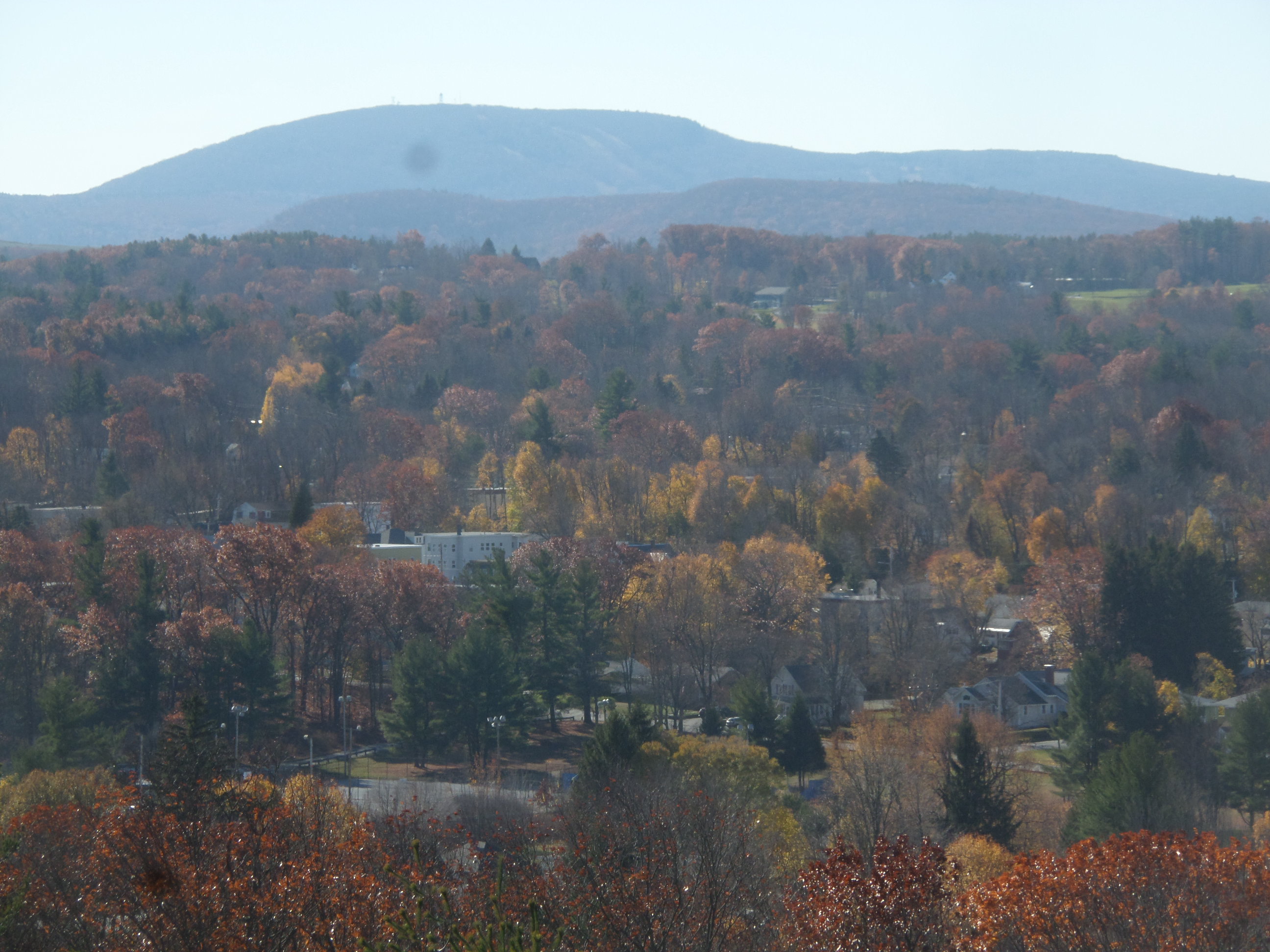 SAMSUNG CAMERA PICTURES