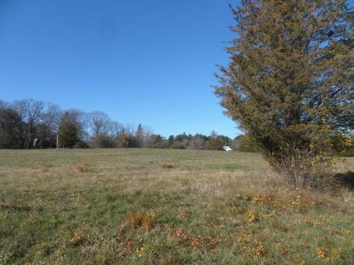 SAMSUNG CAMERA PICTURES