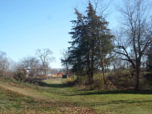 SAMSUNG CAMERA PICTURES