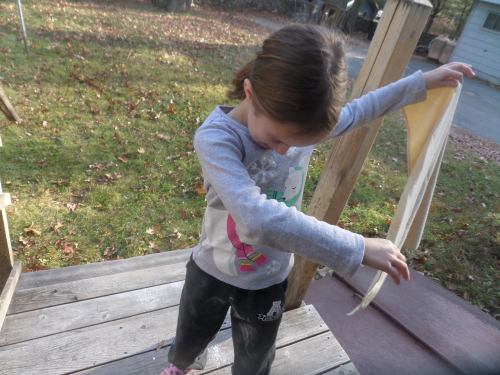 SAMSUNG CAMERA PICTURES